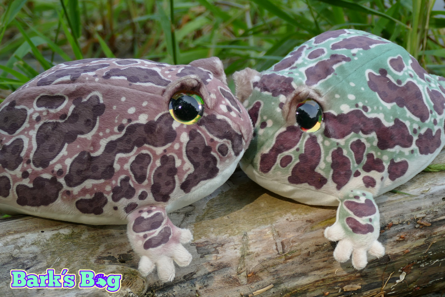 Pacman Frogs