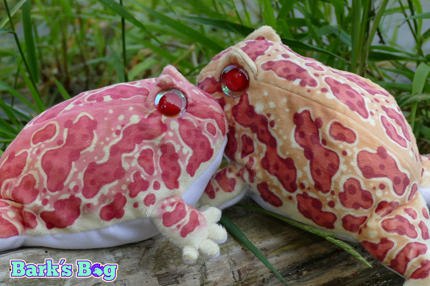Pacman Frogs