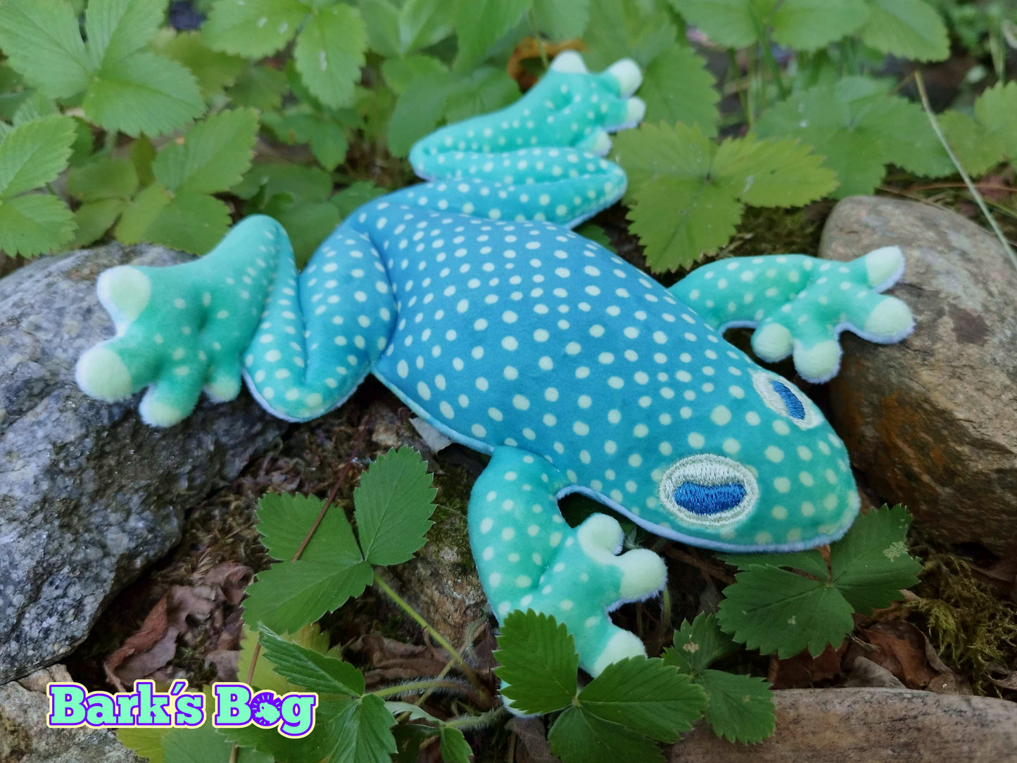 Magnetic Glassfrogs