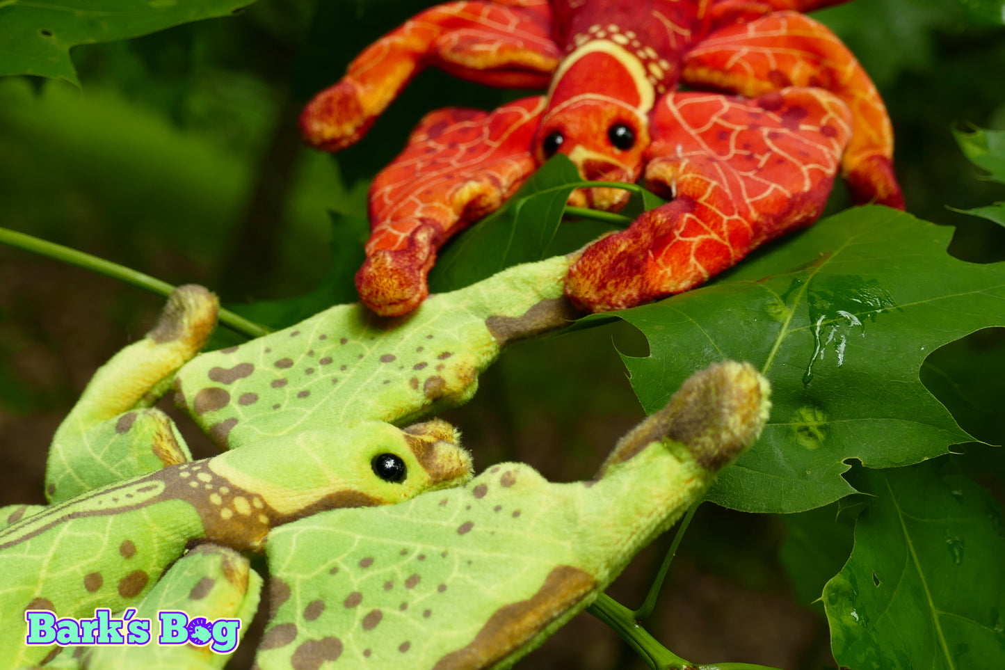 Magnetic Crinkly Leaf Bugs
