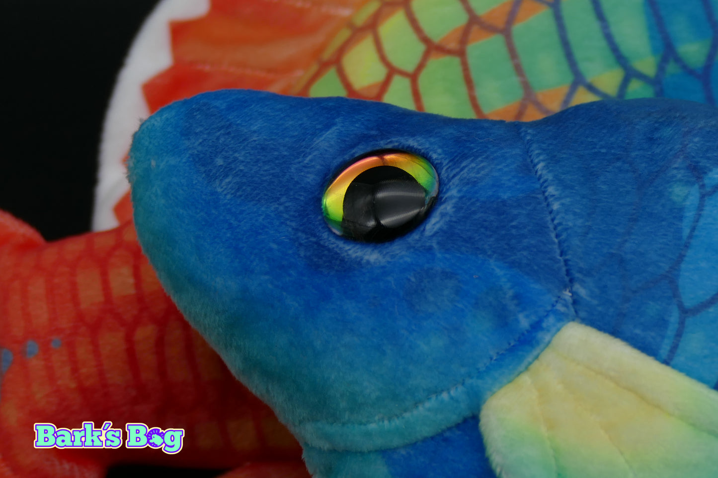 Bosemani Rainbow Fish