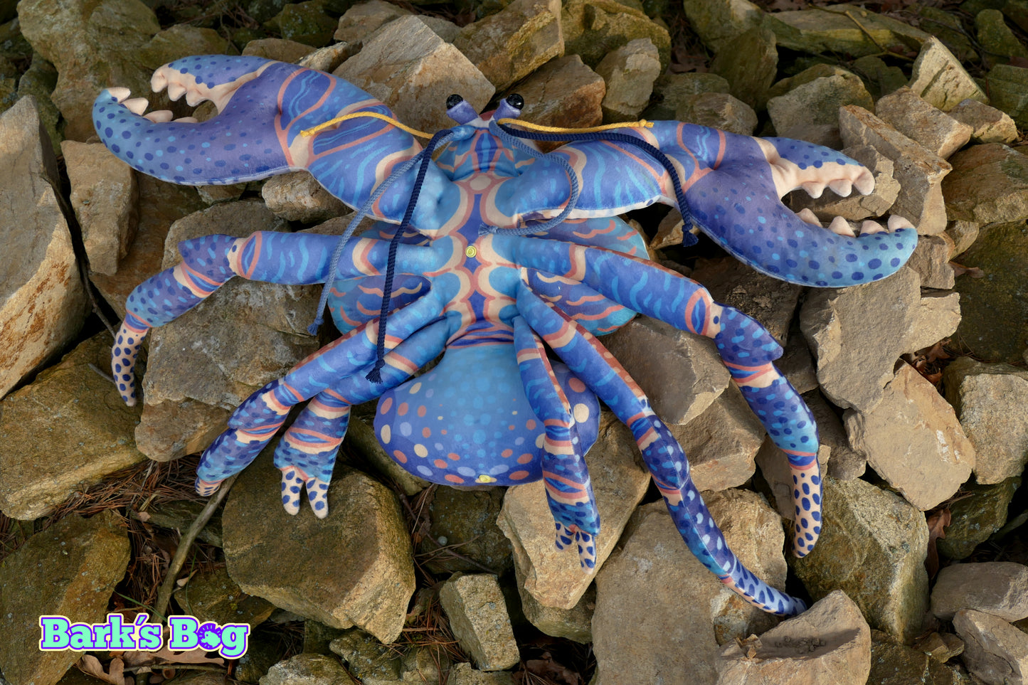 Coconut Crabs