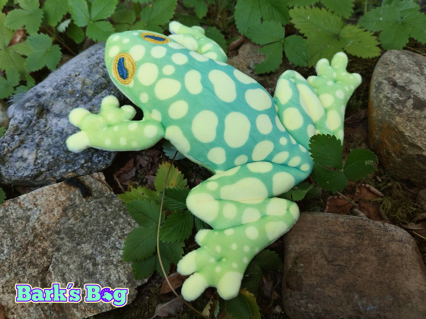 Magnetic Glassfrogs