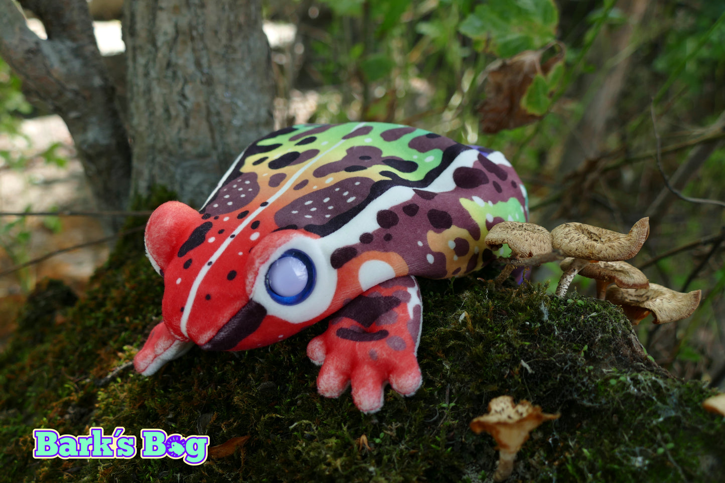 Rainbow Pride Toads