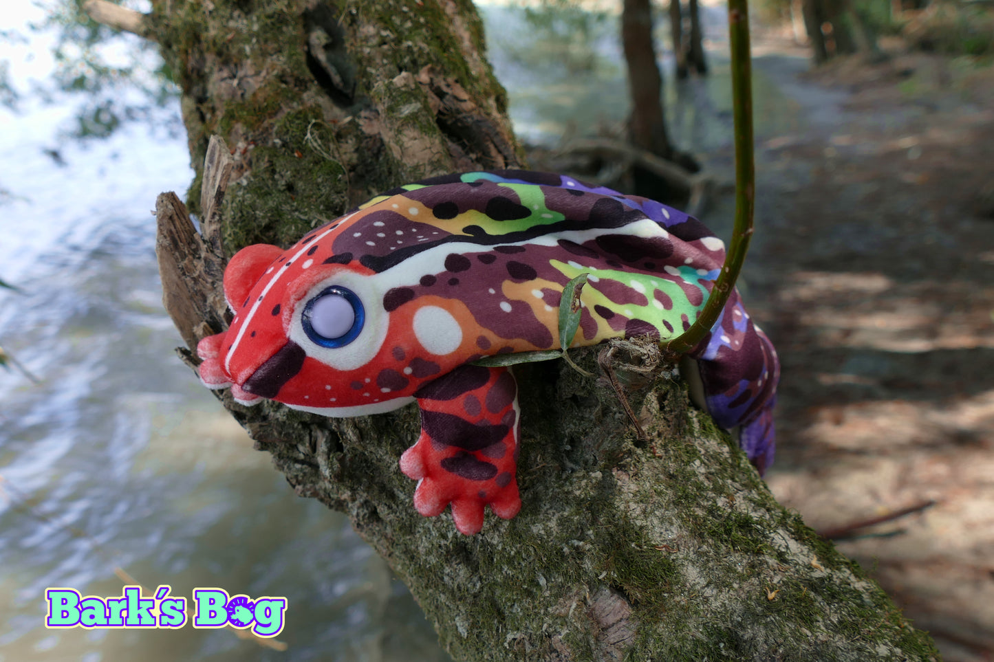 Rainbow Pride Toads