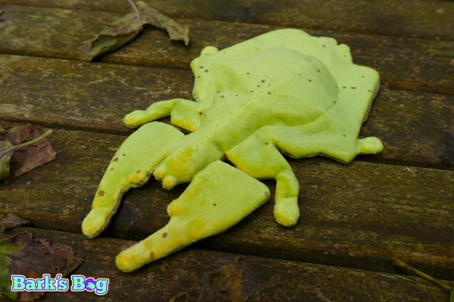 Magnetic Crinkly Leaf Bugs