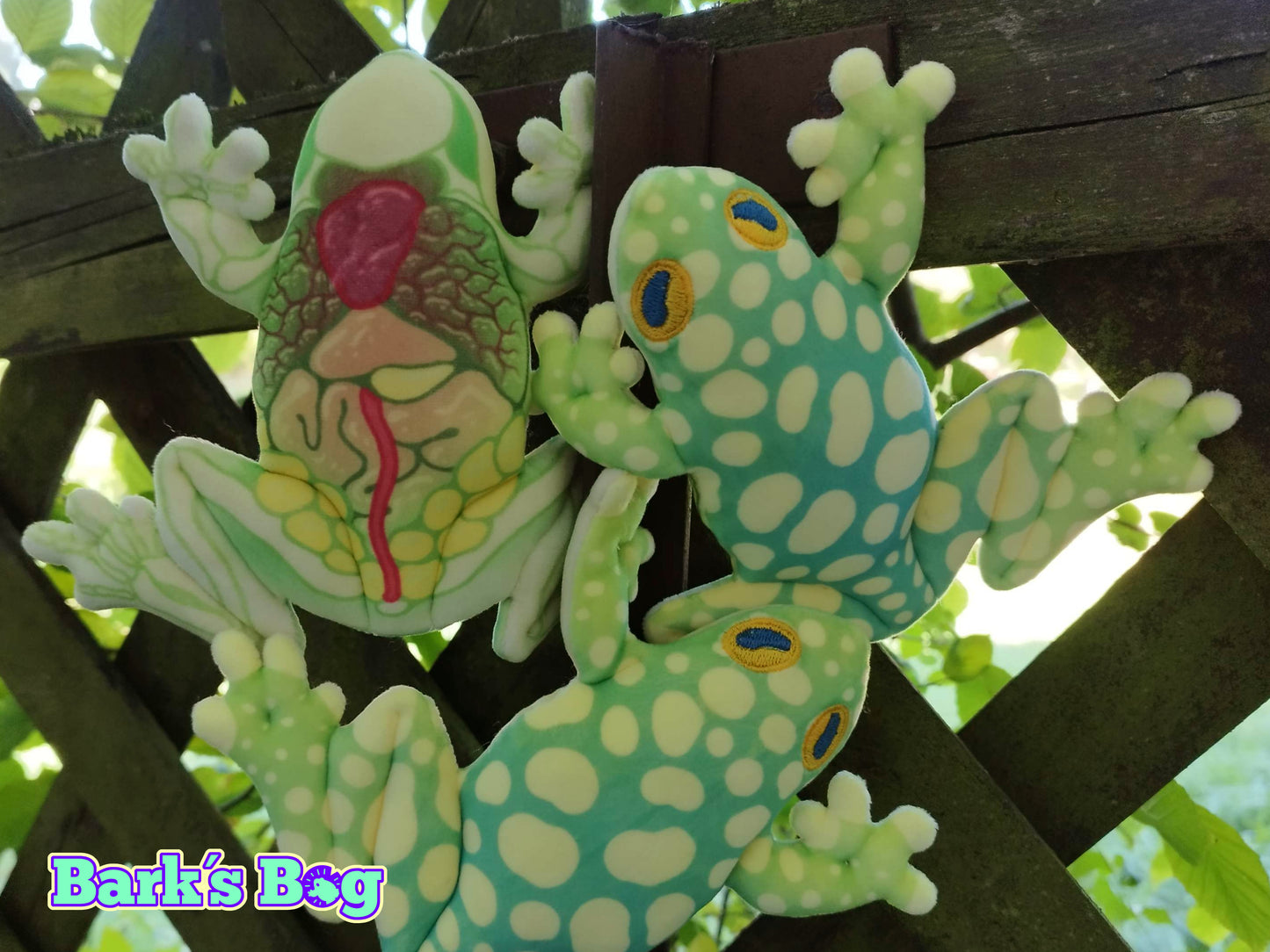 Magnetic Glassfrogs