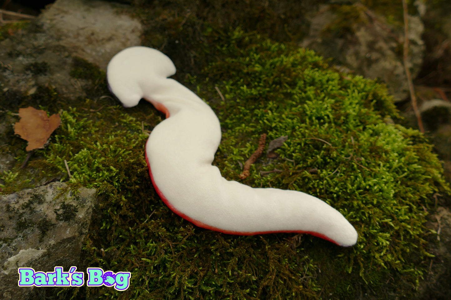 Hammerhead Worms