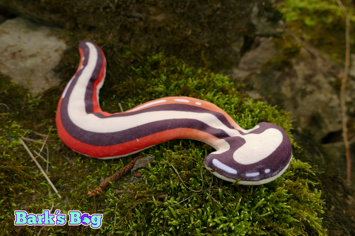 Hammerhead Worms