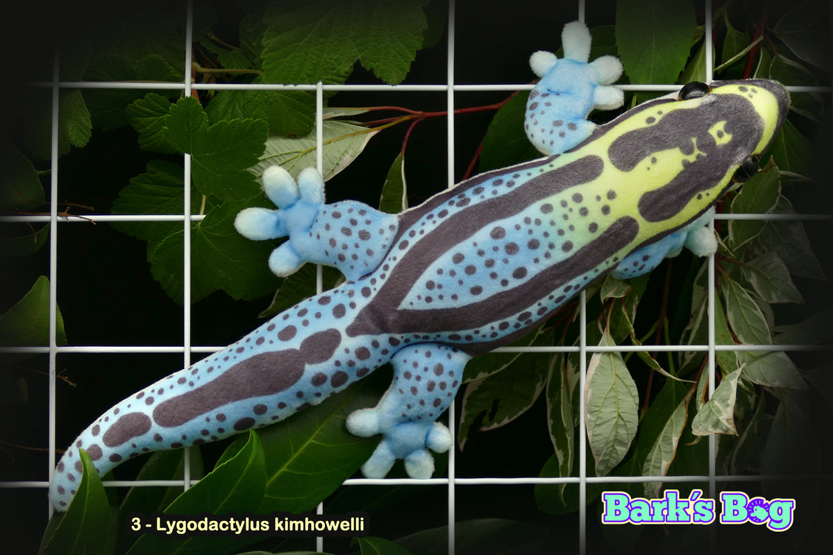Magnetic Dwarfgeckos