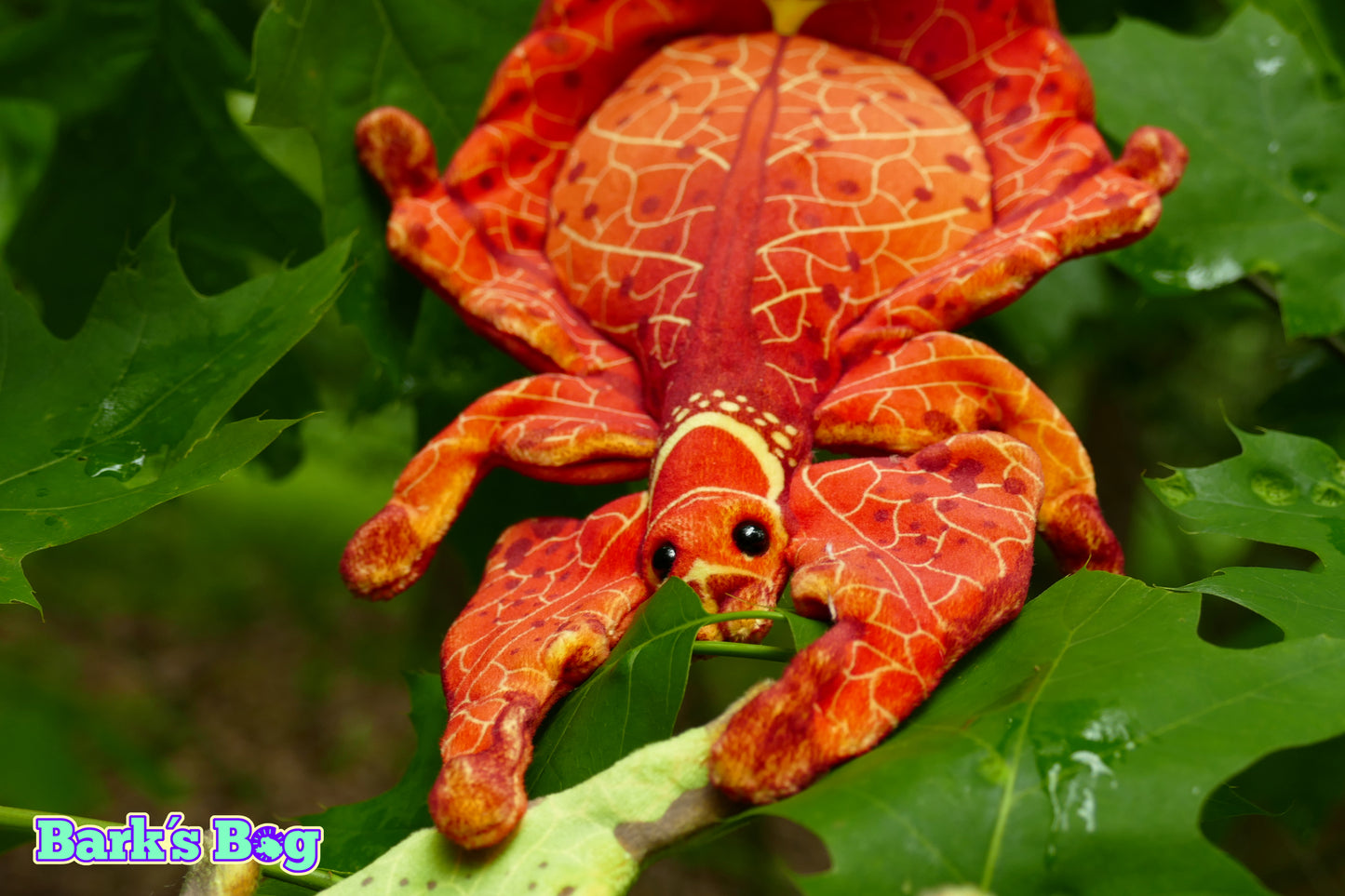 Magnetic Crinkly Leaf Bugs