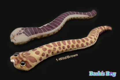 Western Hognoses