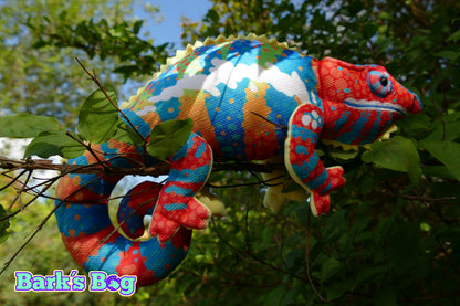 Panther Chameleon "Amilobe"