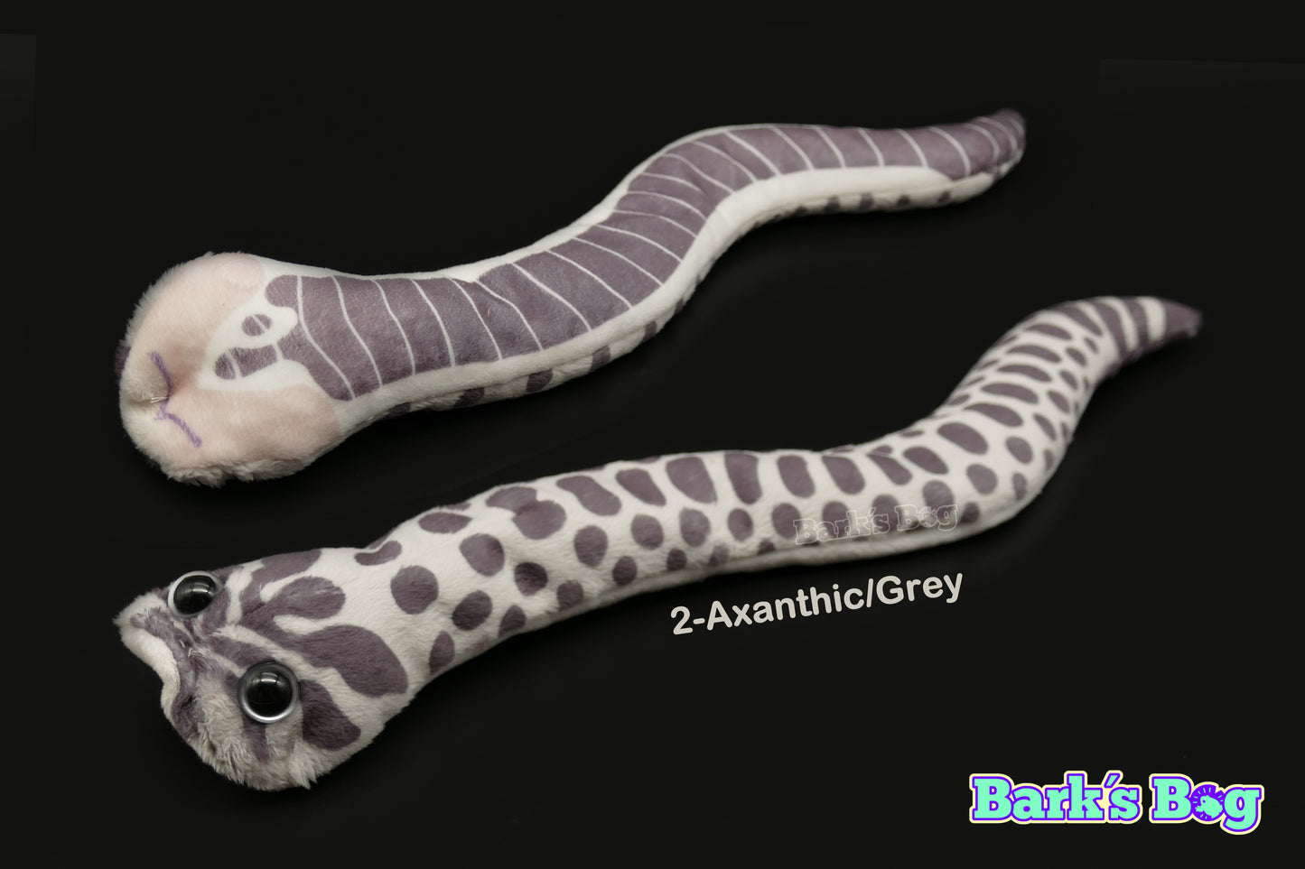 Western Hognoses
