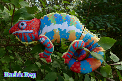 Panther Chameleon "Amilobe"