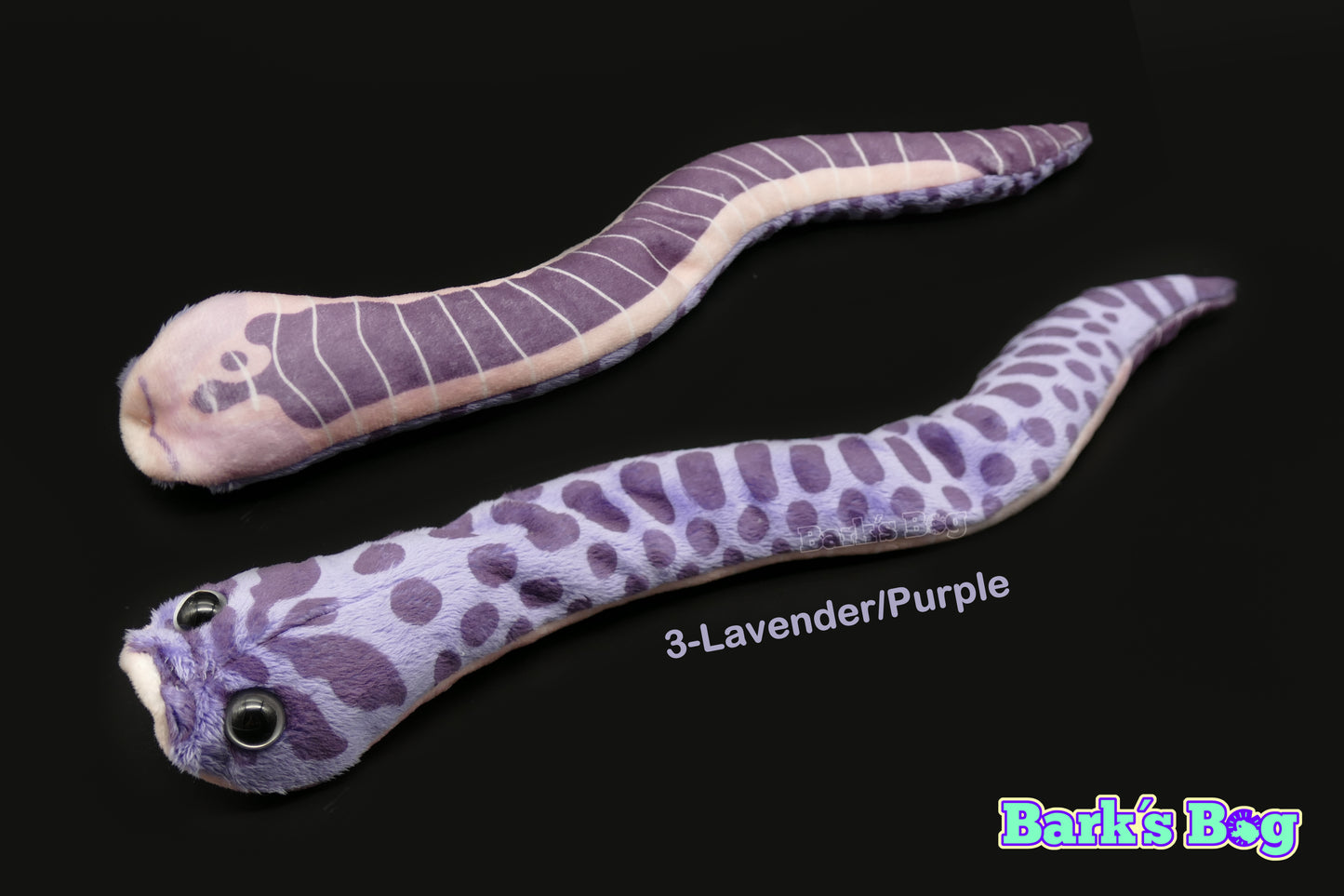 Western Hognoses