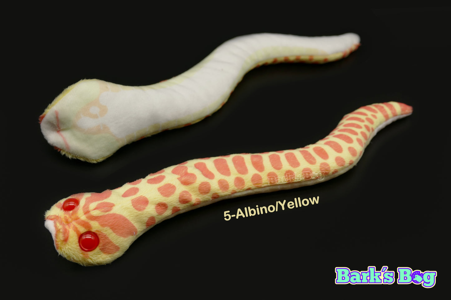 Western Hognoses