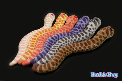 Western Hognoses
