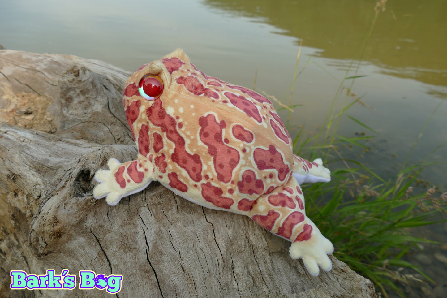 Pacman Frogs