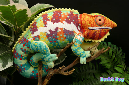 Panther Chameleon "Ambanja"