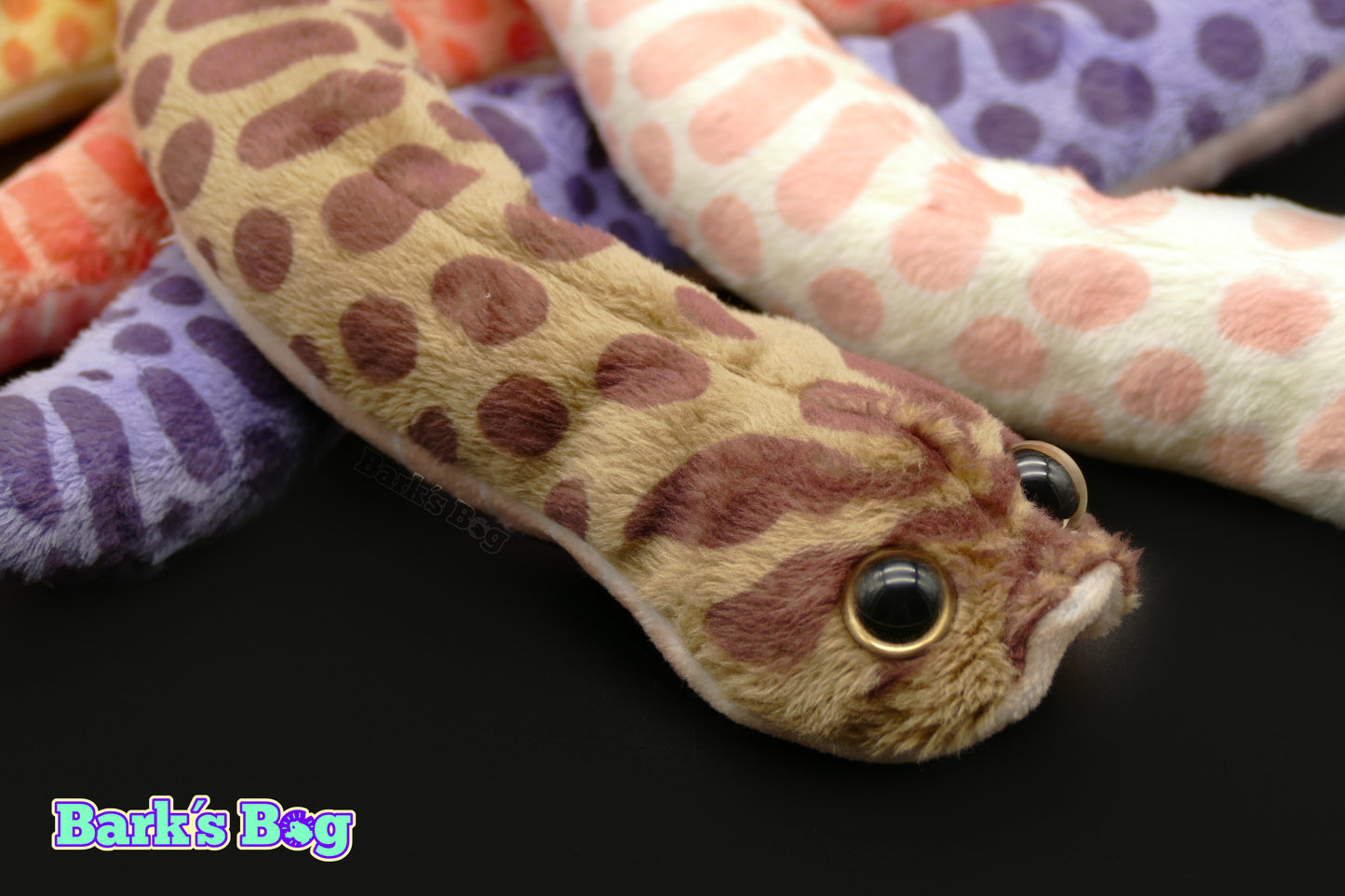 Western Hognoses
