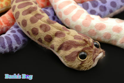 Western Hognoses