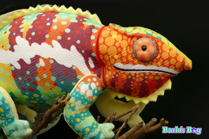 Panther Chameleon "Ambanja"