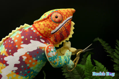 Panther Chameleon "Ambanja"