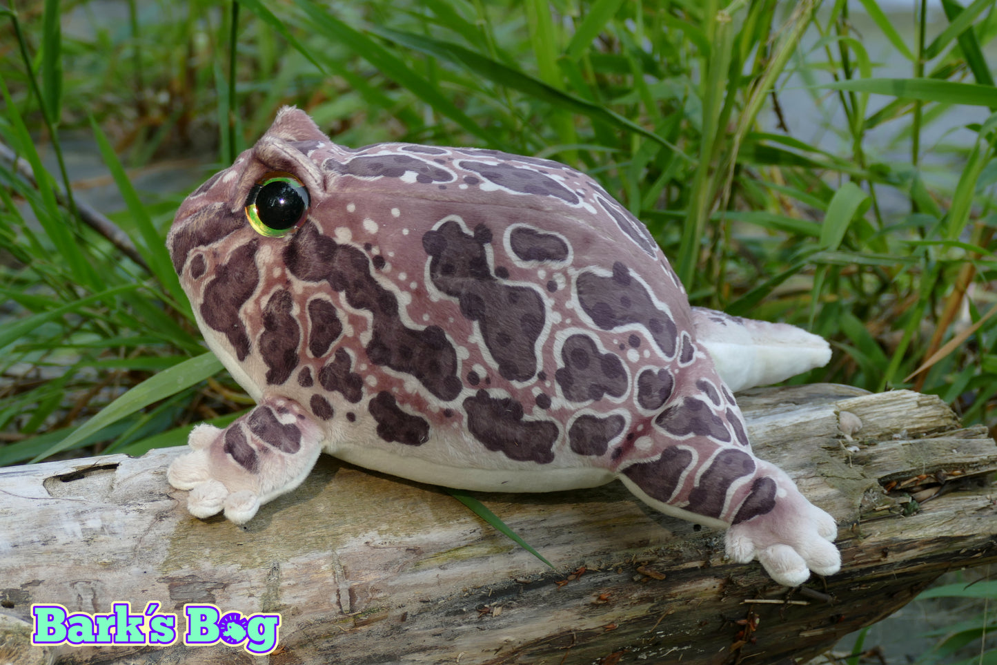 Pacman Frogs