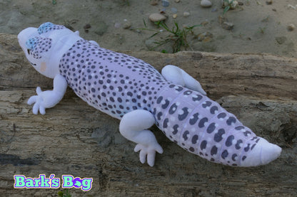 Leopard Gecko "Total Eclipse"