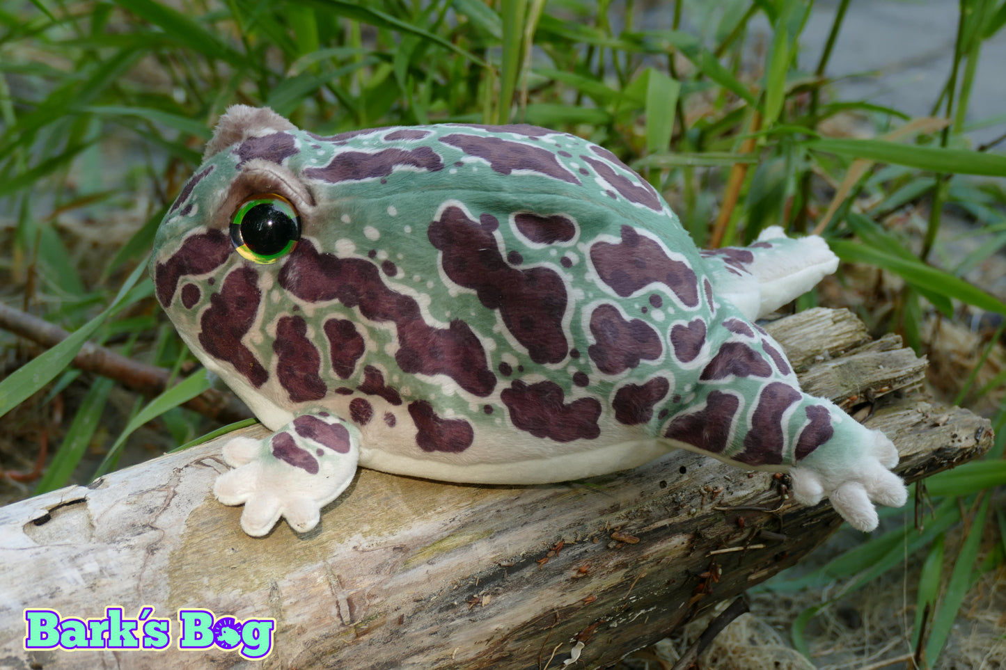 Pacman Frogs