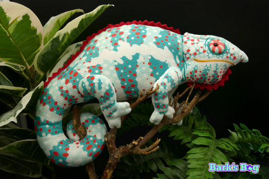 Panther Chameleon "NosyFaly"