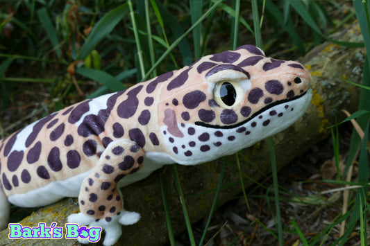 Leopard Gecko "Mack Snow"