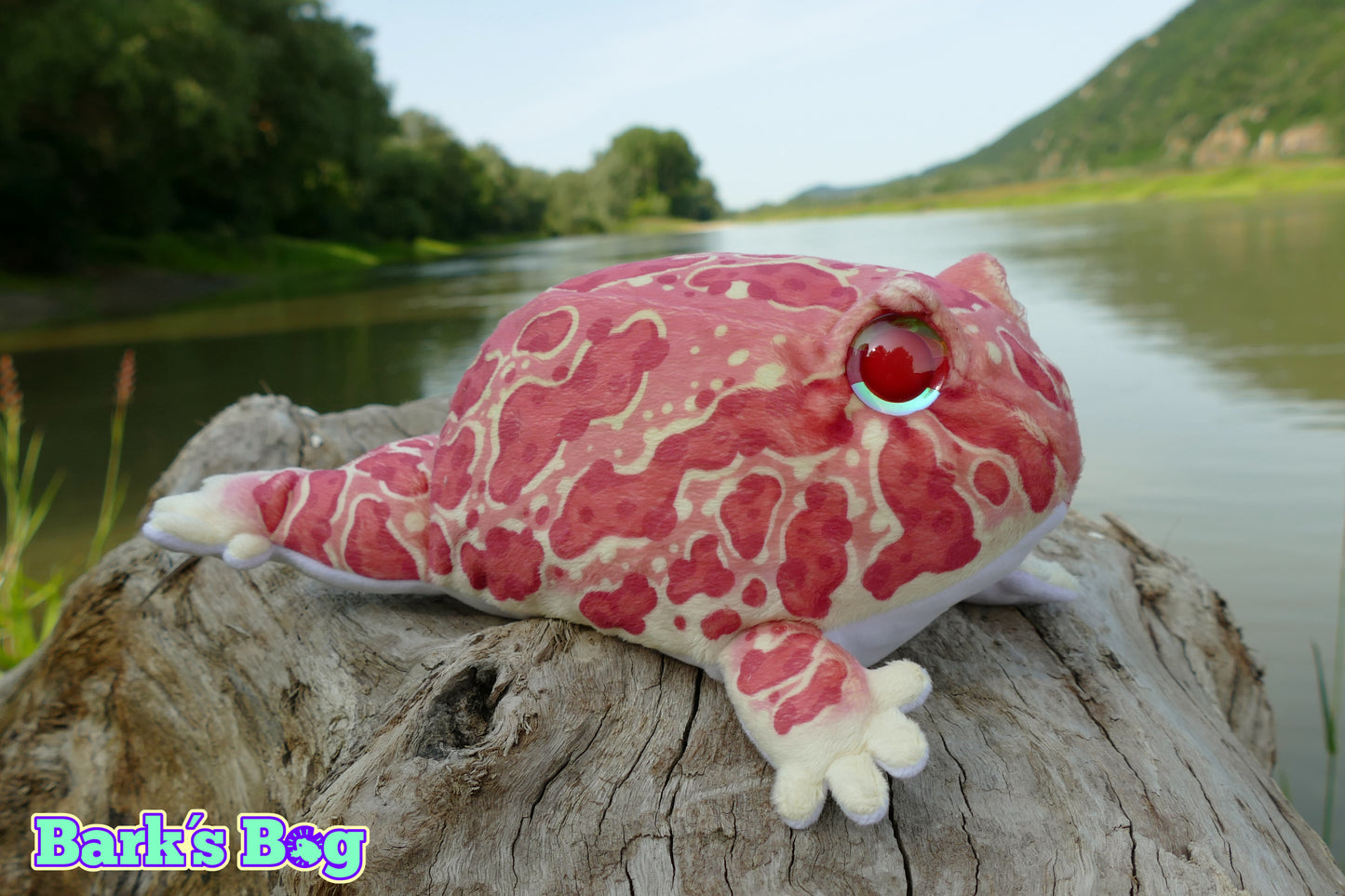 Pacman Frogs