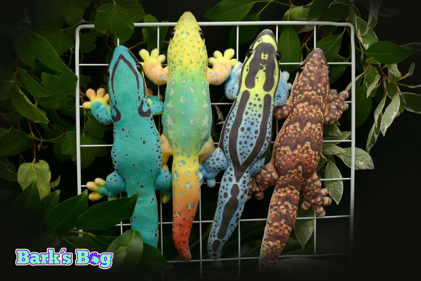 Magnetic Dwarfgeckos
