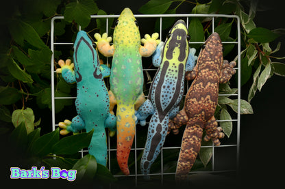 Magnetic Dwarfgeckos