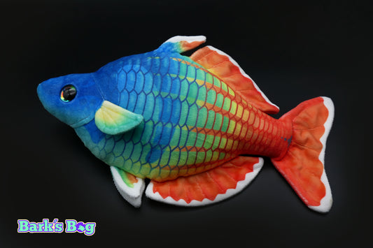 Bosemani Rainbow Fish