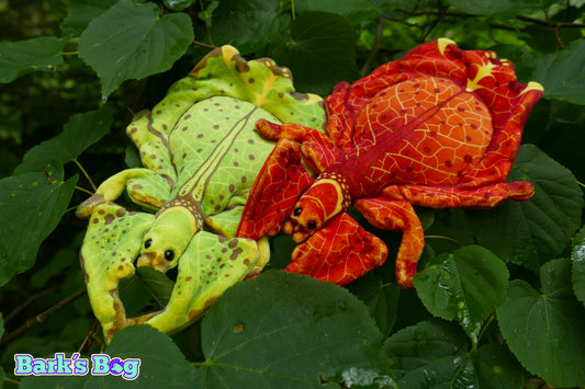 Magnetic Crinkly Leaf Bugs