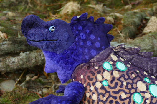 Sulawesi Sailfin Lizards