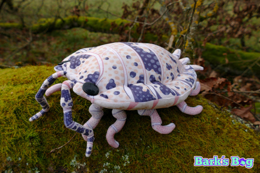 "Dalmatian" Rough Woodlouse