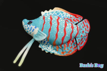 Dwarf Gourami
