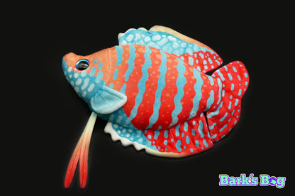 Dwarf Gourami