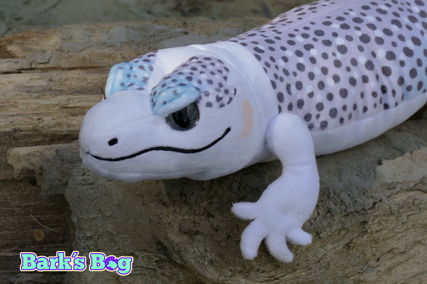Leopard Gecko "Total Eclipse"