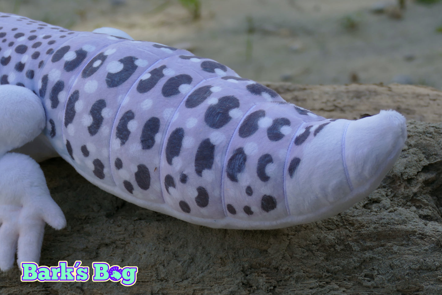 Leopard Gecko "Total Eclipse"