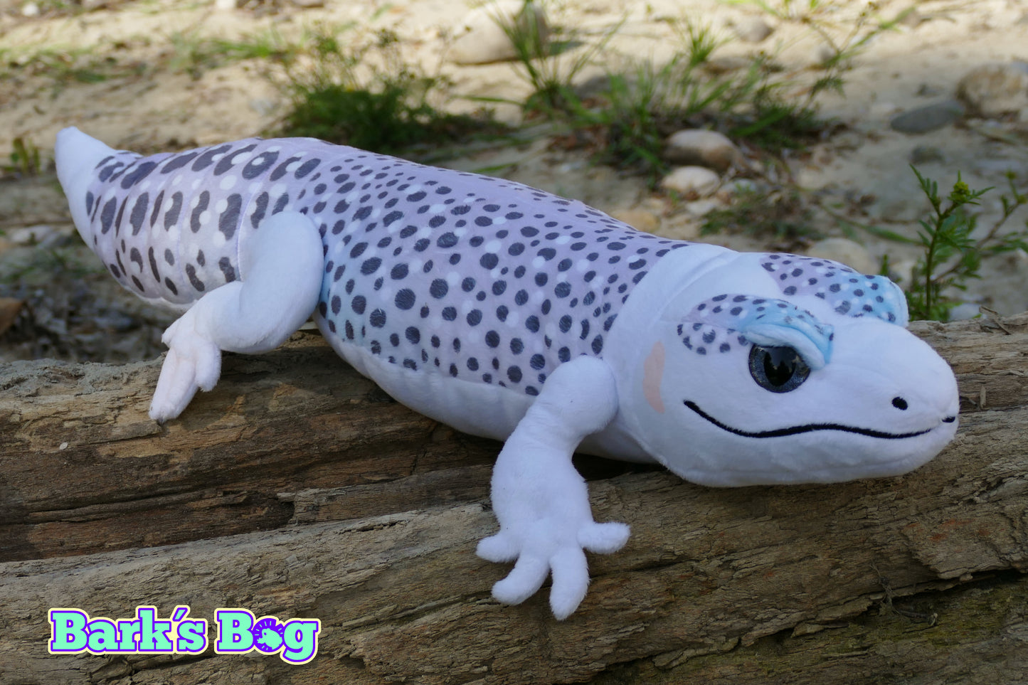 Leopard Gecko "Total Eclipse"