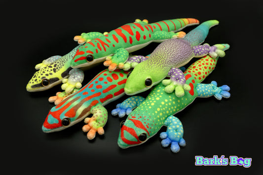 Magnetic Daygeckos