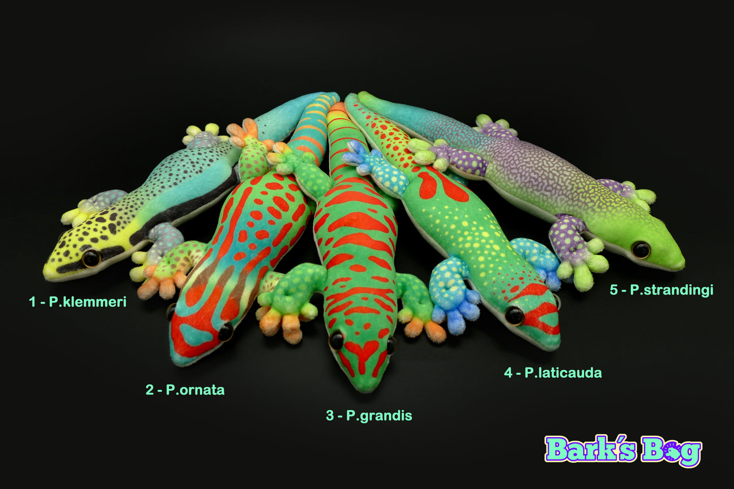 Magnetic Daygeckos