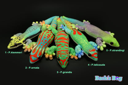 Magnetic Daygeckos