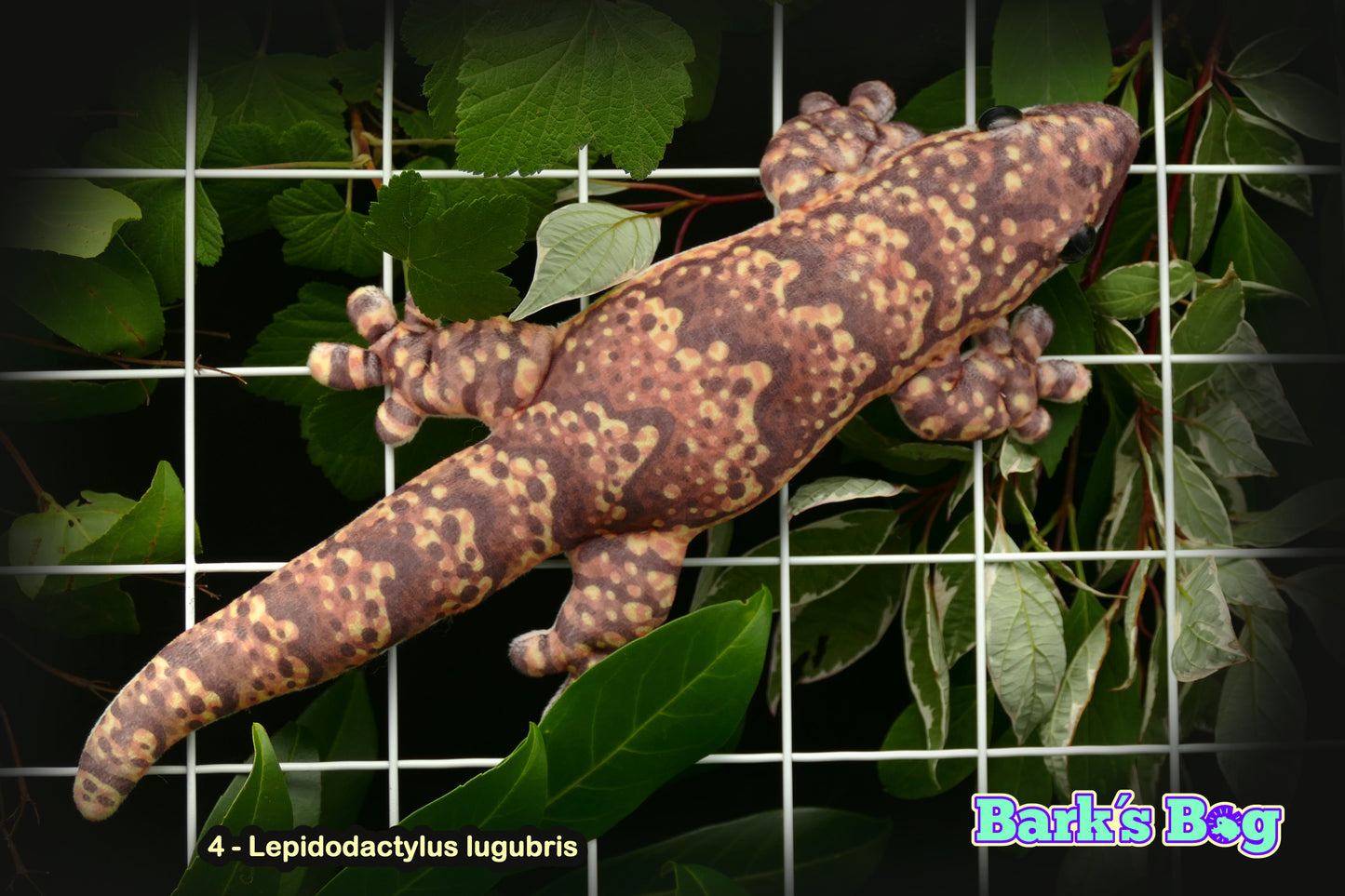 Magnetic Dwarfgeckos
