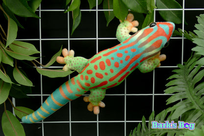 Magnetic Daygeckos
